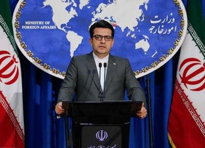 موسوی: وزارت خارجه هیچ دخالتی در اعمال پروتکل های بهداشتی ندارد