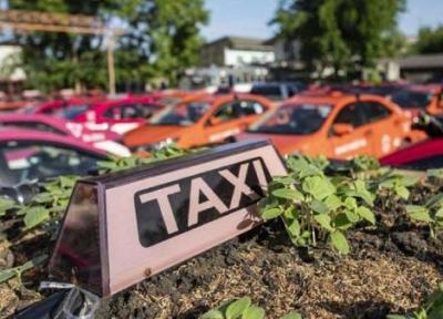 طراحی خانه ویلایی مدرن: تاکسی هایی که به باغچه های کوچک تبدیل شدند