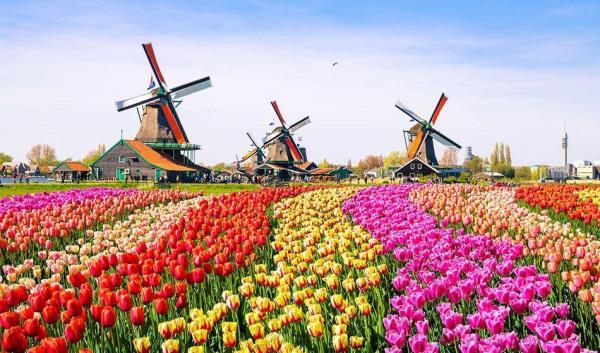 تور هلند ارزان: فرهنگ و آداب و رسوم هلند را بشناسید
