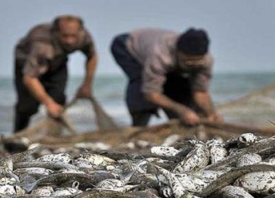 آمادگی 813 صیاد گلستانی برای شروع فصل صید ماهیان استخوانی