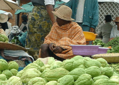 محصولات کشاورزی ماداگاسکار