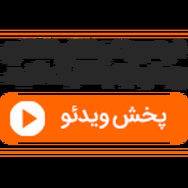 واکنش زیبای فیل نابینا به صدای پیانو