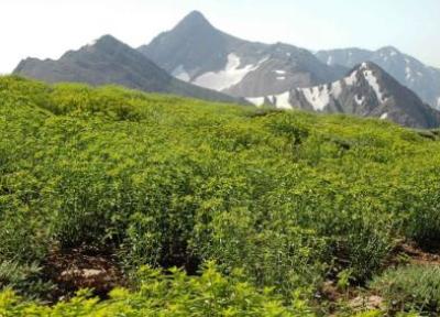 راهنمای سفر به کهگیلویه و بویر احمد